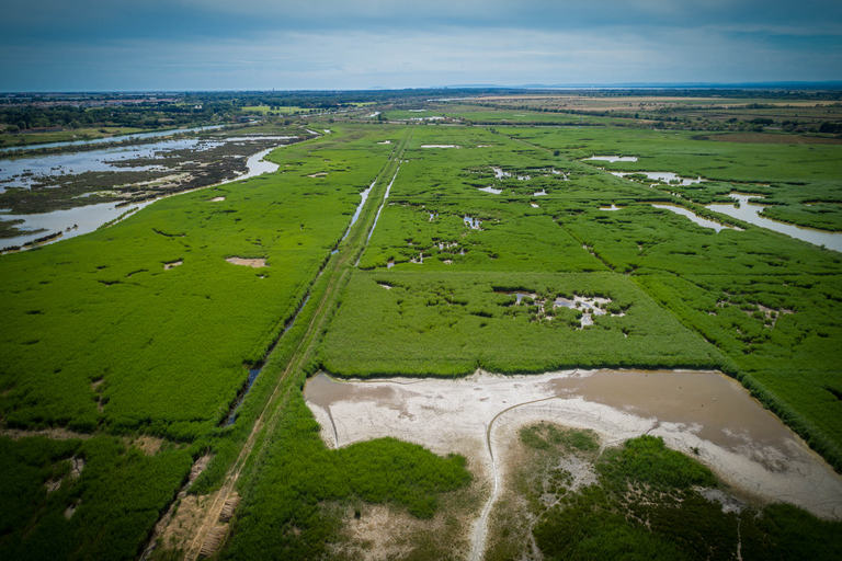 Camargue: Guided Electric Bike Tour