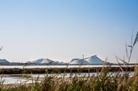 Camargue, Guided Electric Bike Tour - Housity