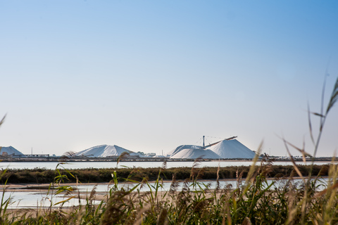 Camargue: Guided Electric Bike Tour