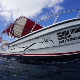 Puerto Vallarta: Private Speedboat Tour
