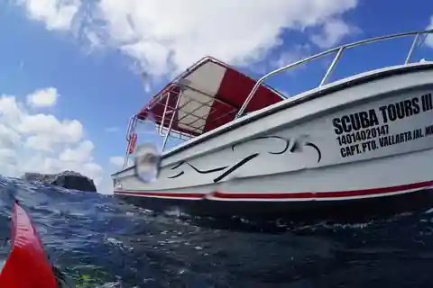 Puerto Vallarta: Private Speedboat Tour