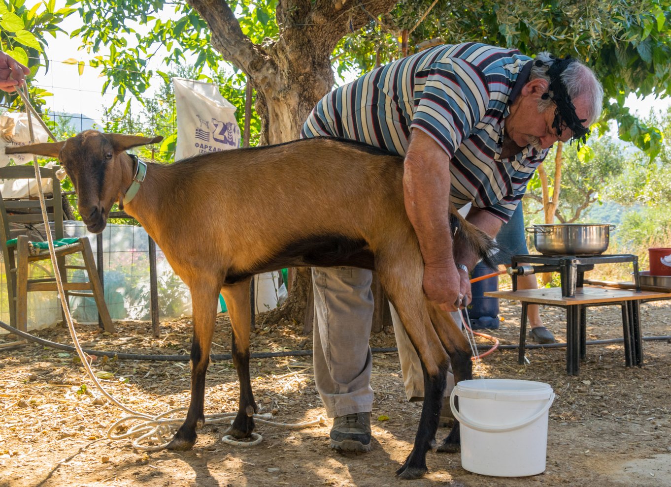 Kreta: Lasithi-plateauet og Zeus' hule Off Road Safari Tour