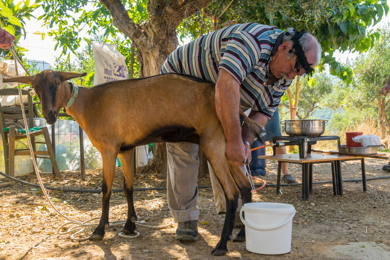 Kreta: Dikti-Gebirge und Lasithi-Hochebene Tour mit dem Geländewagen