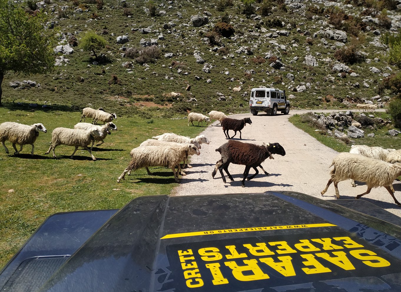 Kreta: Lasithi-plateauet og Zeus' hule Off Road Safari Tour