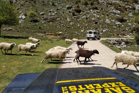 Creta: tour de las montañas Dikti y la meseta de Lasithi en todoterreno