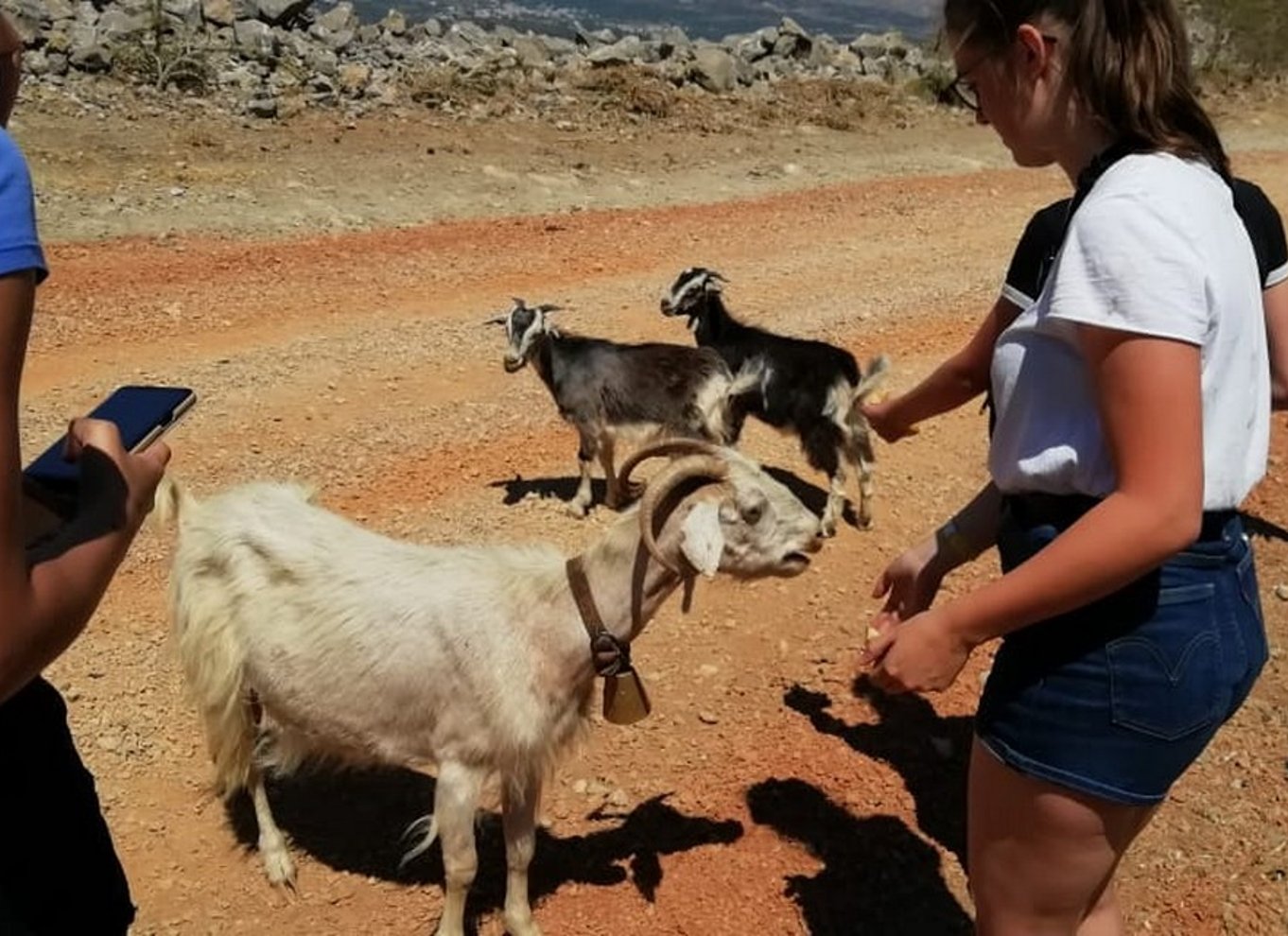 Kreta: Lasithi-plateauet og Zeus' hule Off Road Safari Tour