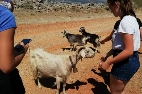 Kreta: Dikti-Gebirge und Lasithi-Hochebene Tour mit dem Geländewagen