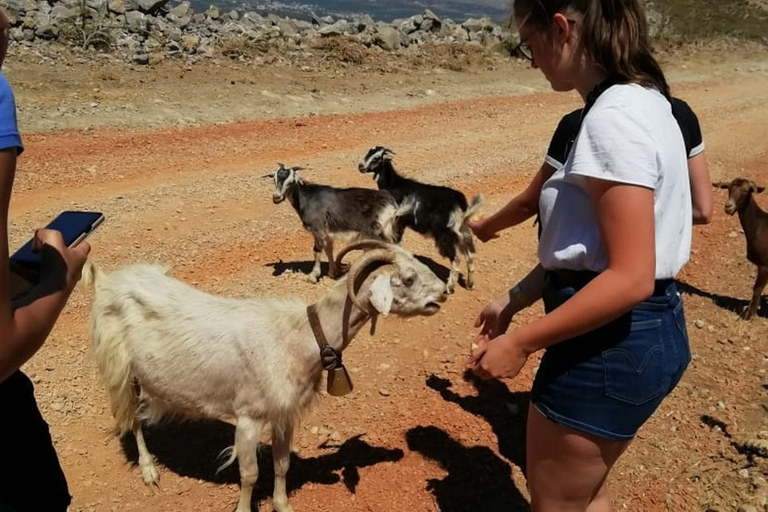 Creta: tour de las montañas Dikti y la meseta de Lasithi en todoterreno