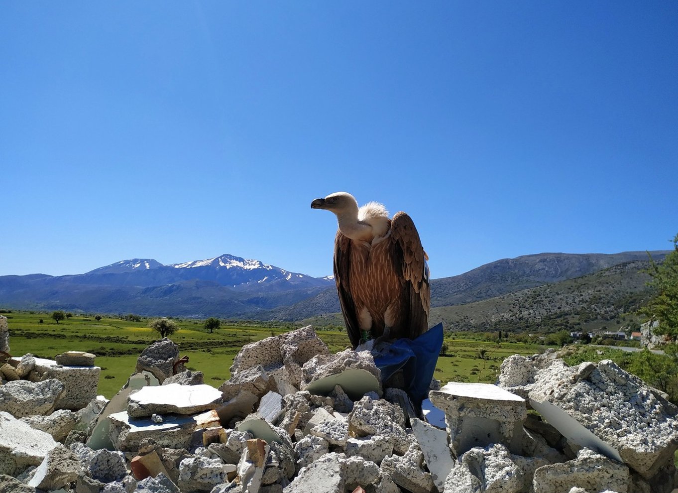 Kreta: Lasithi-plateauet og Zeus' hule Off Road Safari Tour