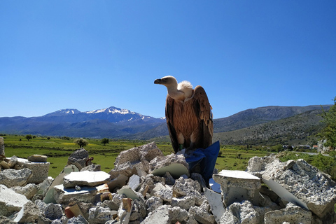 Crète: visite des montagnes Dikti et du plateau de Lasithi en SUV