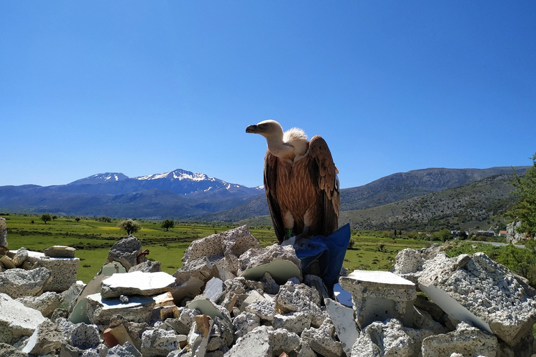 Crète: visite des montagnes Dikti et du plateau de Lasithi en SUV