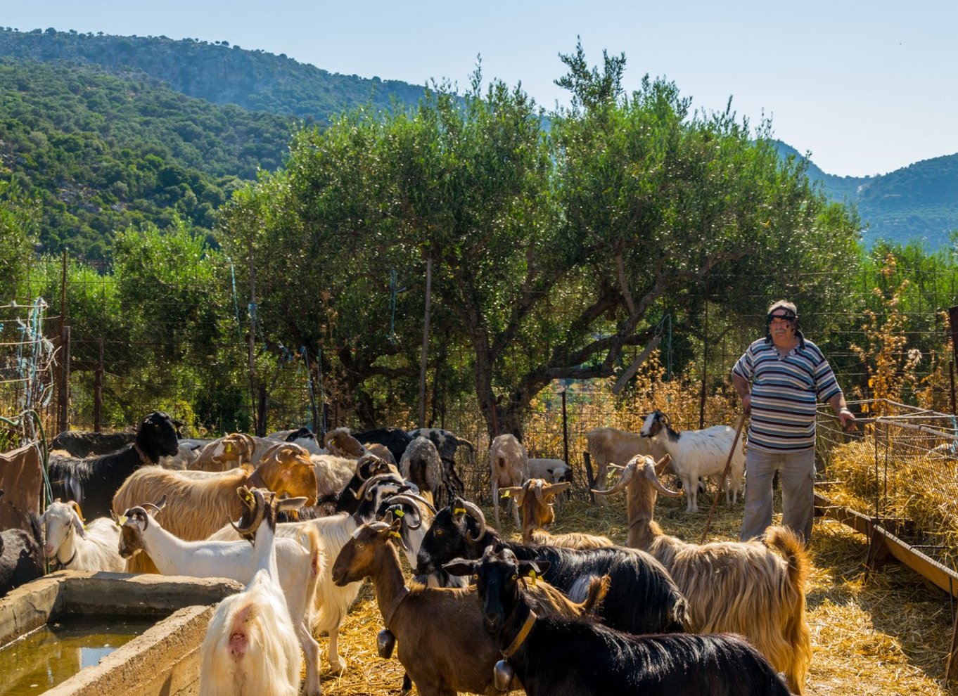 Kreta: Lasithi-plateauet og Zeus' hule Off Road Safari Tour