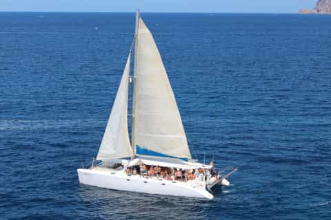 From San Antonio: Catamaran to Cala Comte