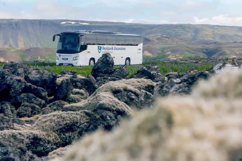 Reykjavik: Shuttle Bus Transfer to/from Keflavik Airport | GetYourGuide