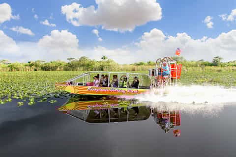 From Miami: Half-Day Everglades Airboat Ride & Wildlife Show