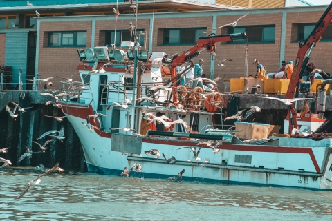 Isla Cristina/Isla Canela: Bootsfahrt durch die SümpfeAbfahrt von Isla Cristina