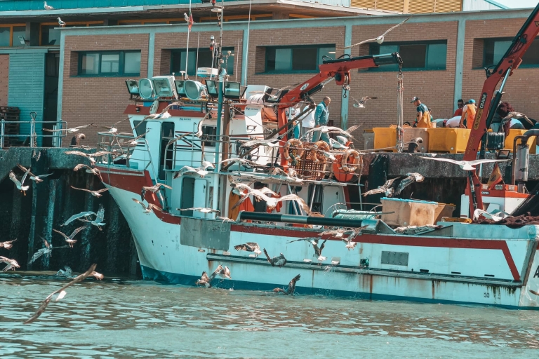 Isla Cristina/Isla Canela : promenade en bateau à travers les maraisDépart d'Isla Cristina
