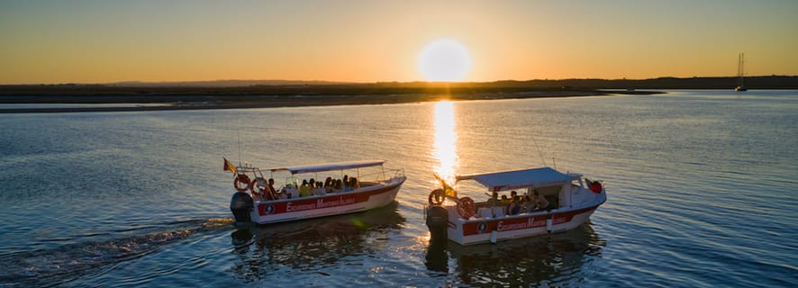 Isla Cristina/Isla Canela: gita in barca attraverso le paludi
