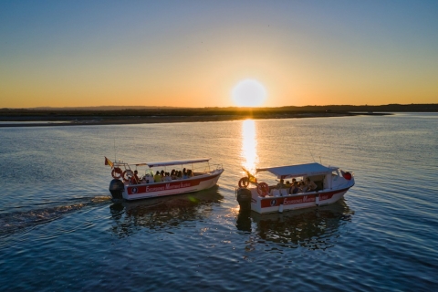 Isla Cristina/Isla Canela : promenade en bateau à travers les maraisDépart d'Isla Cristina
