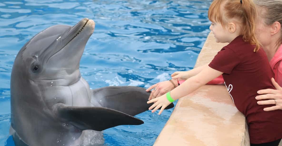 Gulf World Marine Park: Dolphin Meet and Greet