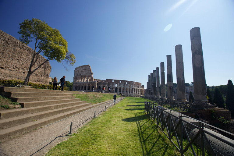 Roma: Coliseo Express Visita guiada en grupo reducidoRoma: Visita guiada rápida en grupo reducido al Coliseo