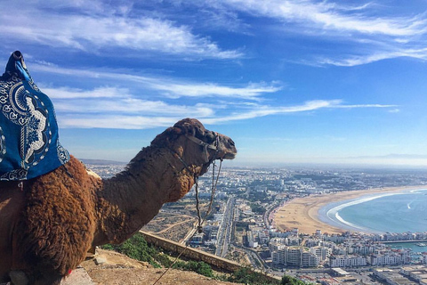 De Marrakech a Agadir : Excursión privada de un día con teleféricoOpción Estándar