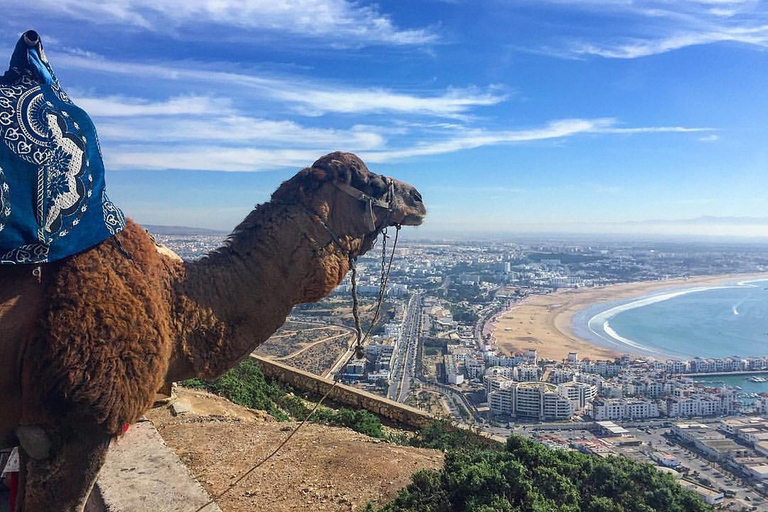 De Marrakech à Agadir : Excursion privée d'une journée avec téléphériqueOption standard