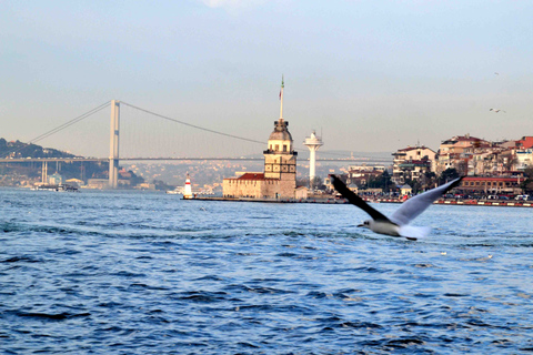 Istanbul: 3,5-stündige Stadtführung mit Bosporus-Kreuzfahrt