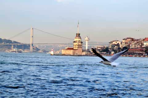 Istanbul: 3.5-Hour Guided City Tour with Bosphorus Cruise