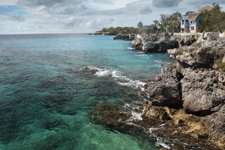 Vanaf de luchthaven van Montego Bay: Enkele reis gedeelde transfer naar Negril