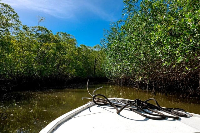 Tamarindo: bootsafari in de riviermonding