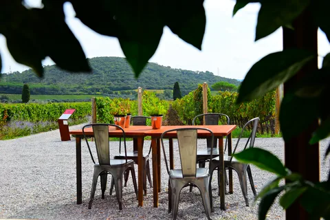 Tour esclusivo di Cortona, terra del Syrah toscano