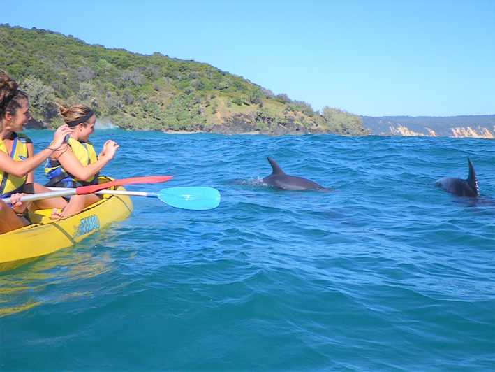 Rainbow Beach: Kajakfahren mit Delfinen und Strand 4WD Tour