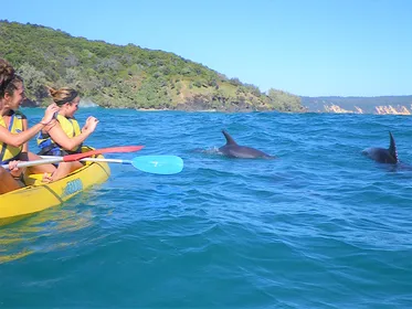 Rainbow Beach: Kajakfahren mit Delfinen und Strand 4WD Tour