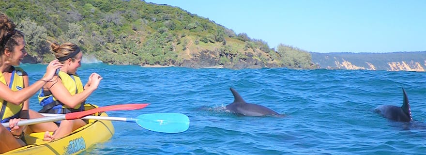 Rainbow Beach : Kayak avec les dauphins et excursion en 4x4 sur la plage