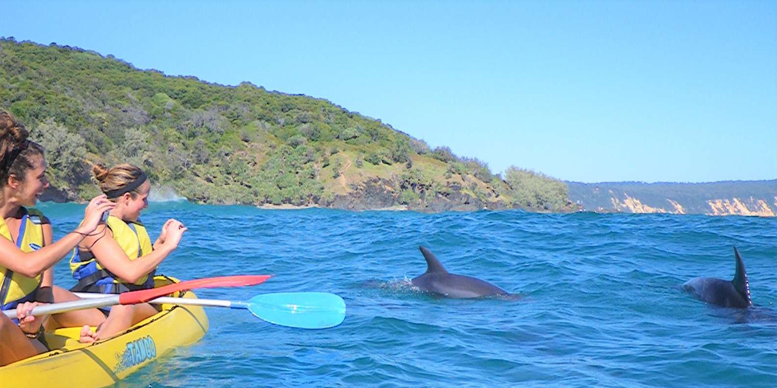 レインボー ビーチ : イルカとのカヤックとビーチ 4WD ツアー