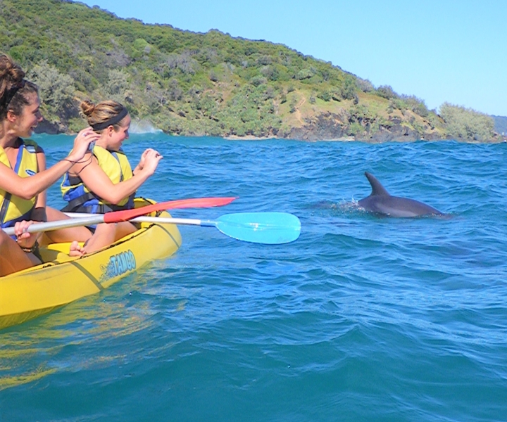 Rainbow Beach: Kayaking with Dolphins and Beach 4WD Tour