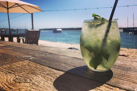 2.5-Hour Ultimate Jet Ski Safari to North Stradbroke Island 2.5-Hour Single Person Jet Ski Safari