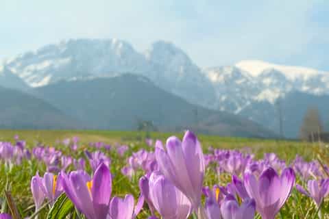 From Krakow: Zakopane and Tatras Mountains Full-Day Tour