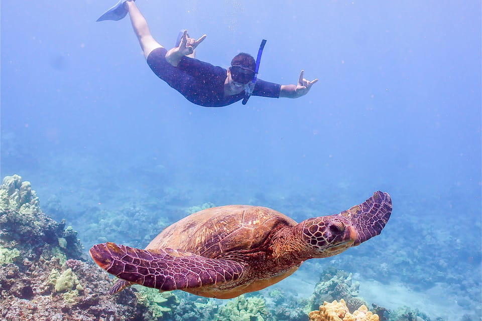 Molokini Snorkeling Adventure From Ma'alaea Harbor 