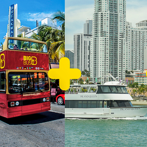 Miami Combo: Panoramic Bus Tour, Bay Cruise, & Everglades