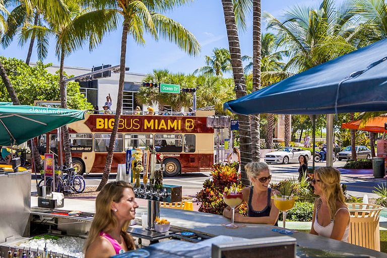 Miami: Open-Top Bus Tour, Biscayne Bay Cruise, & Everglades Miami Beach Meeting Point