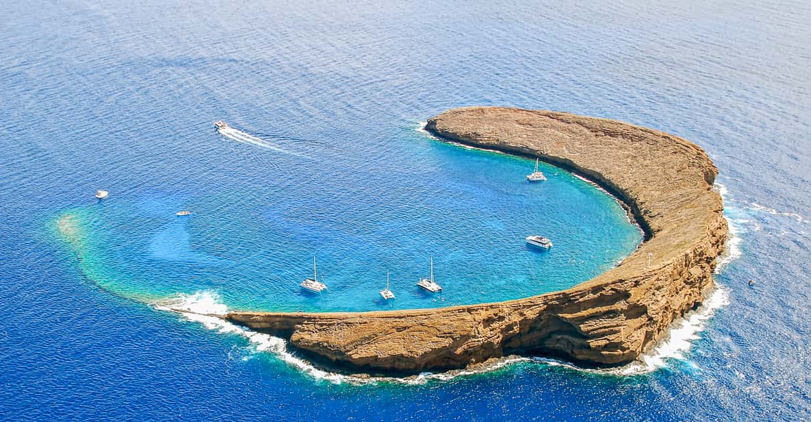 Maui: Afternoon Snorkel to Coral Gardens or Molokini Crater