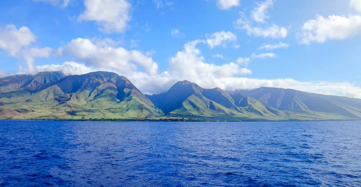 Maui: Afternoon Snorkel to Coral Gardens or Molokini Crater