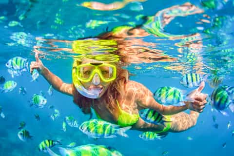 Maui: Afternoon Snorkel to Coral Gardens or Molokini Crater