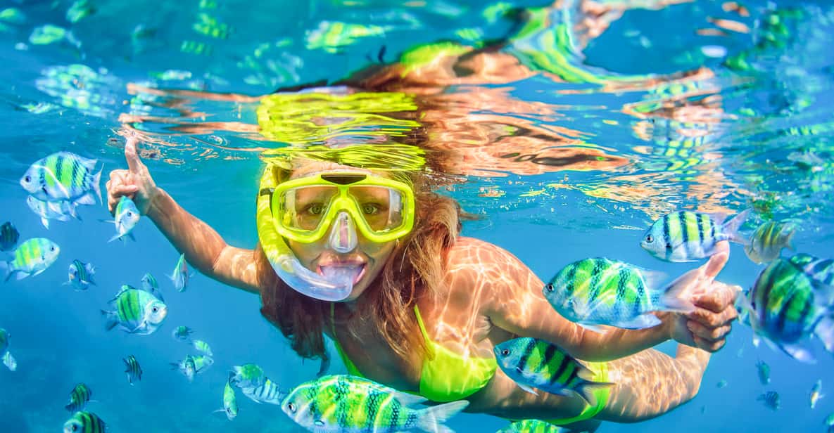 Maui: Afternoon Snorkel to Coral Gardens or Molokini Crater