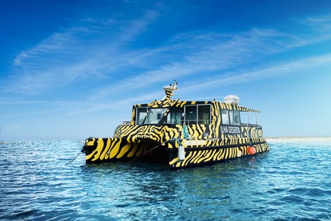 Boat trip from Faro to Ilha Deserta by Ferry