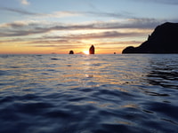 Da Lipari, tour in barca a Salina con fermate - Housity
