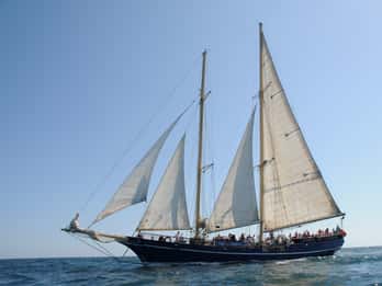 Vilamoura: Full-Day Algarve Cruise with BBQ Lunch on Beach