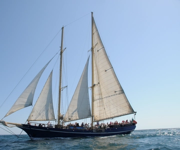 Vilamoura: Full-Day Algarve Cruise with BBQ Lunch on Beach